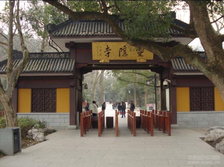 点击查看源网页 杭州灵隐禅寺的禅茶一味