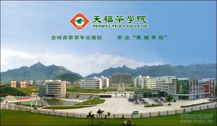 点击查看源网页 漳州天福茶学院