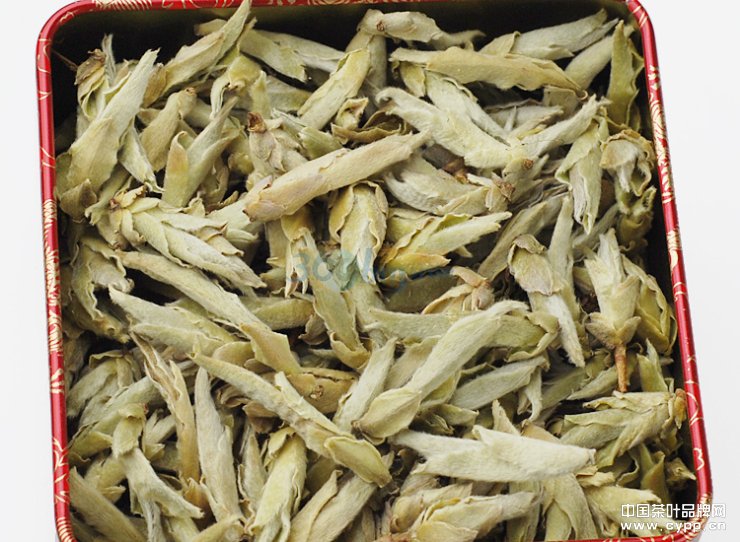 点击查看源网页 报春芽普洱茶
