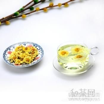 杭白菊