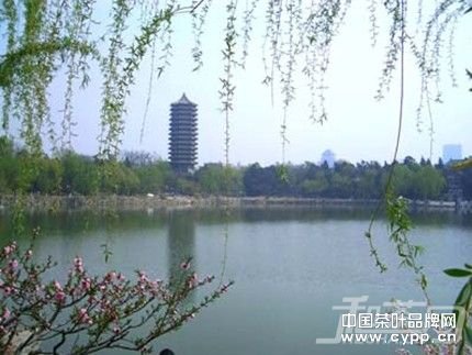 精英热血未名湖